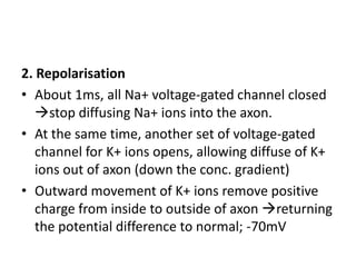 2. Repolarisation
• About 1ms, all Na+ voltage-gated channel closed
stop diffusing Na+ ions into the axon.
• At the same time, another set of voltage-gated
channel for K+ ions opens, allowing diffuse of K+
ions out of axon (down the conc. gradient)
• Outward movement of K+ ions remove positive
charge from inside to outside of axon returning
the potential difference to normal; -70mV
 