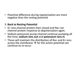 • Potential difference during repolarisation are more
negative than the resting potential
3. Back to Resting Potential
• K+ ions channel protein then closed and Na+ ion
channel protein response to depolarisation again.
• Sodium-potassium pump channel continue pumping all
the time; sodium ions out and potassium ions in
• These will maintain the distribution of Na+ and K+ ions
across the membrane  for the action potential can
continue to re-occur
 