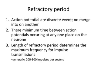 Refractory period
1. Action potential are discrete event; no merge
into on another
2. There minimum time between action
potentials occuring at any one place on the
neurone
3. Length of refractory period determines the
maximum frequency for impulse
transmissions
-generally, 200-300 impulses per second
 
