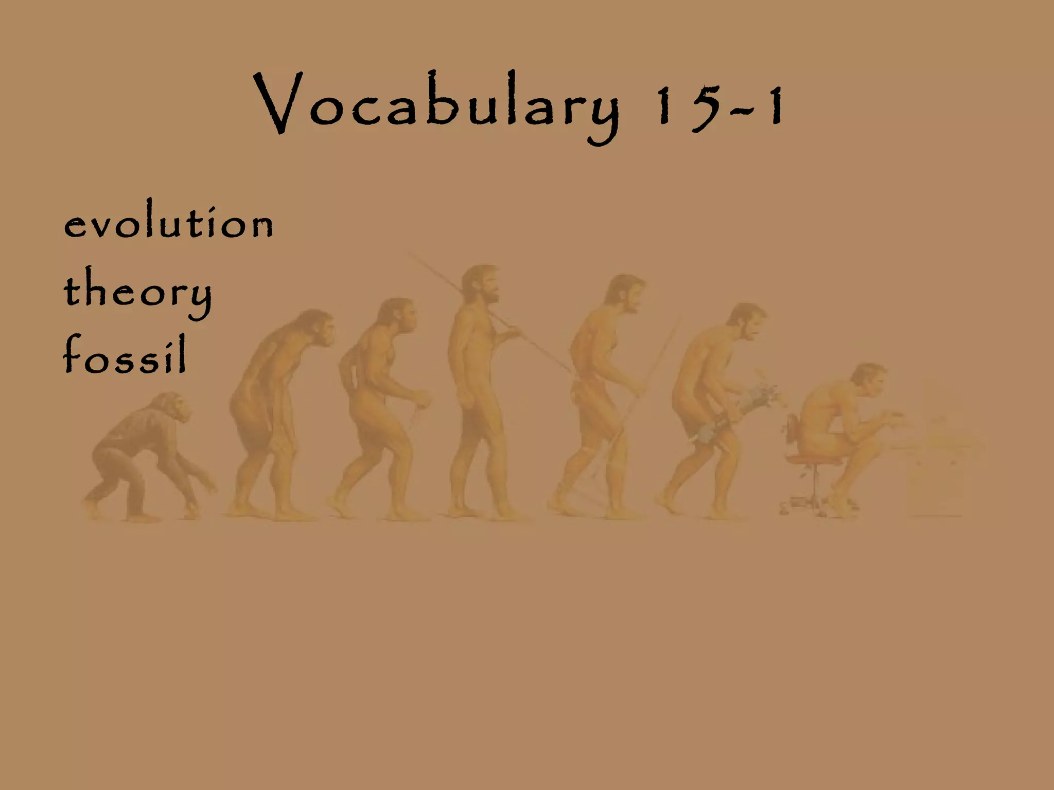 Chapter15 evolution(darwin) | PPT