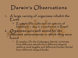 Darwin’s Observations
1. A large variety of organisms inhabit the
   Earth
     • Example: He collected 68 species of
       beetles in 1 day in a rainforest in Brazil
2. Organisms were well suited for the
   different environments in which they were
   found
     •   Examples: On the Galapagos Islands, t ortoises
         from different islands have different shaped
         shells & neck lengths and different finches (birds)
         have different shaped beaks
 