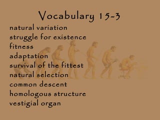Vocabulary 15-3
natural variation
struggle for existence
fitness
adaptation
survival of the fittest
natural selection
common descent
homologous structure
vestigial organ
 