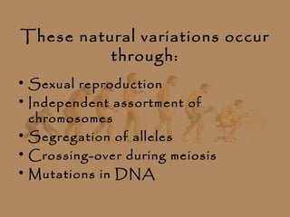 These natural variations occur
          through:
• Sexual reproduction
• Independent assortment of
  chromosomes
• Segregation of alleles
• Crossing-over during meiosis
• Mutations in DNA
 