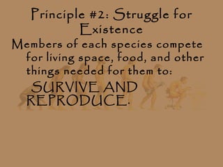 Principle #2: Struggle for
           Existence
Members of each species compete
 for living space, food, and other
 things needed for them to:
  SURVIVE AND
 REPRODUCE.
 