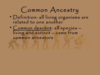 Common Ancestry
• Definition: all living organisms are
  related to one another
• Common descent: all species –
  living and extinct – came from
  common ancestors
 