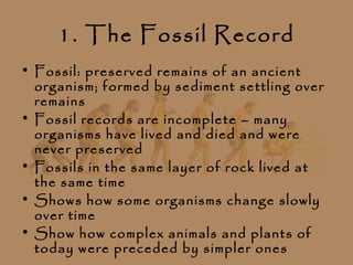 1. The Fossil Record
• Fossil: preserved remains of an ancient
  organism; formed by sediment settling over
  remains
• Fossil records are incomplete – many
  organisms have lived and died and were
  never preserved
• Fossils in the same layer of rock lived at
  the same time
• Shows how some organisms change slowly
  over time
• Show how complex animals and plants of
  today were preceded by simpler ones
 