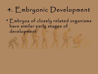 4. Embryonic Development
• Embryos of closely related organisms
  have similar early stages of
  development
 