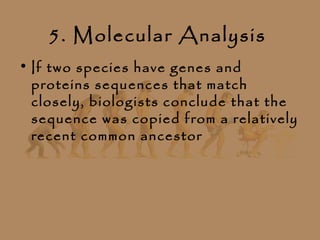5. Molecular Analysis
• If two species have genes and
  proteins sequences that match
  closely, biologists conclude that the
  sequence was copied from a relatively
  recent common ancestor
 