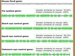 Chapter15 evolution(darwin)