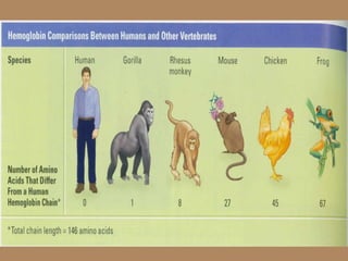 Chapter15 evolution(darwin)