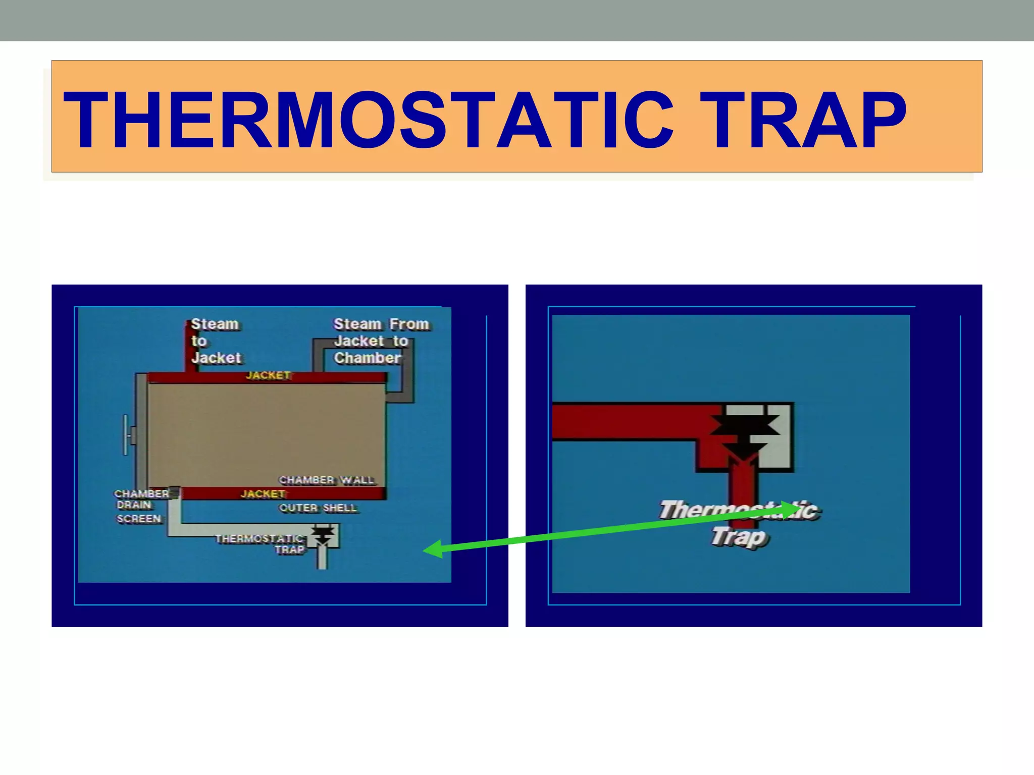 THERMOSTATIC TRAPTHERMOSTATIC TRAP
 