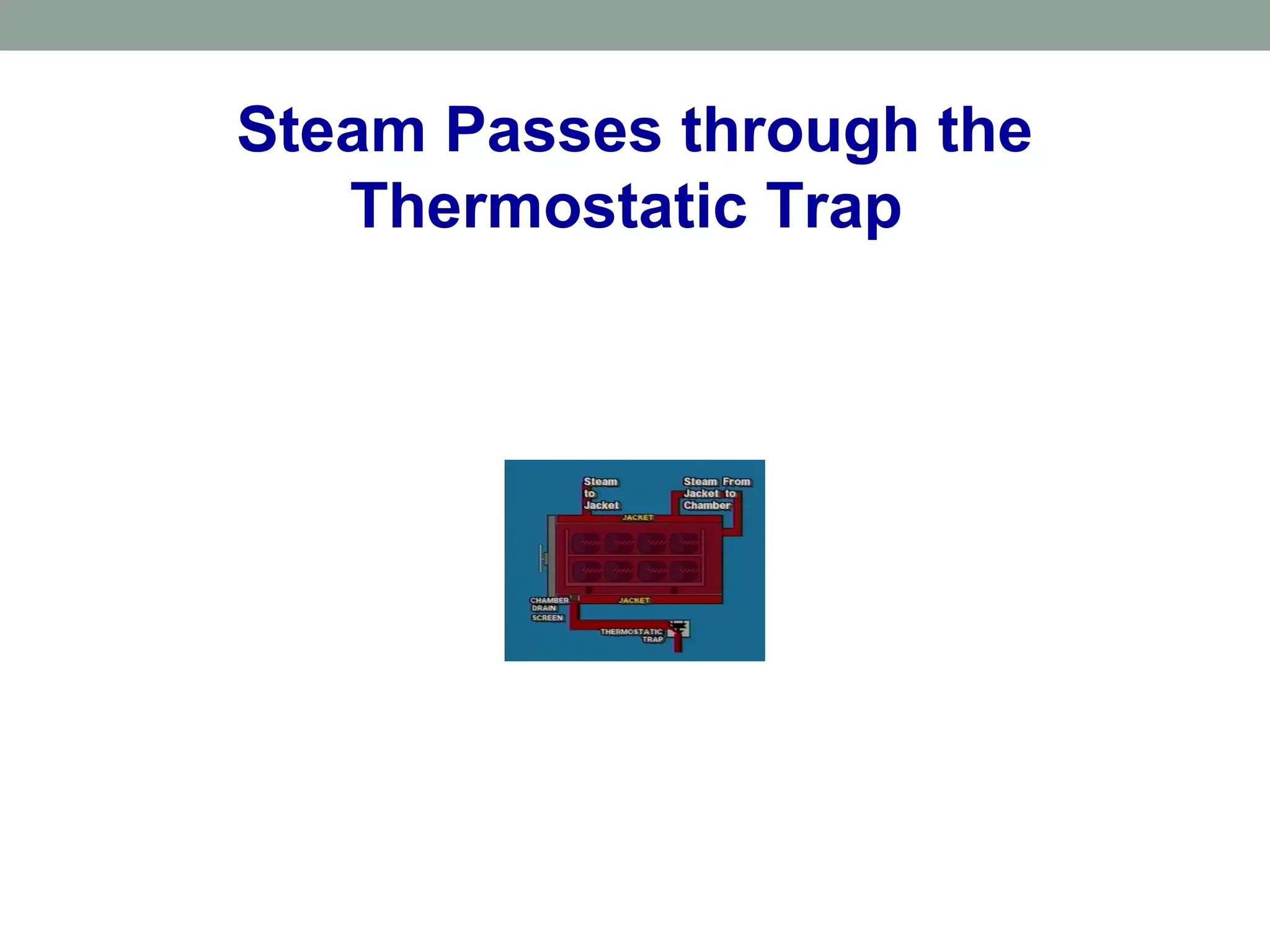 Steam Passes through the
Thermostatic Trap
 