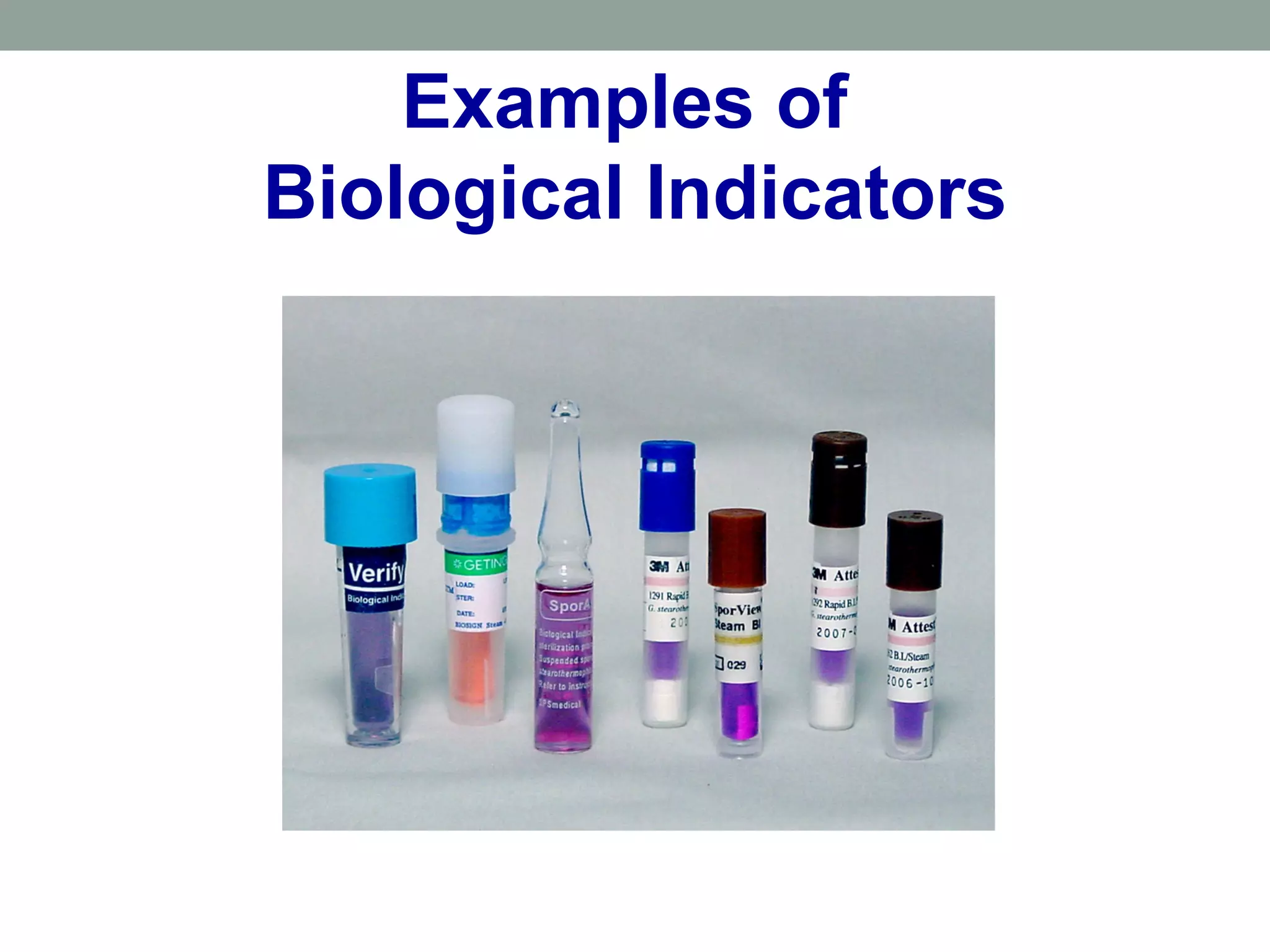 Examples of
Biological Indicators
 