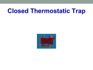 Closed Thermostatic Trap
 