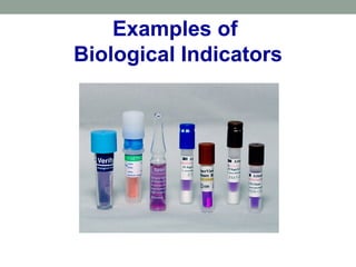 Examples of
Biological Indicators
 