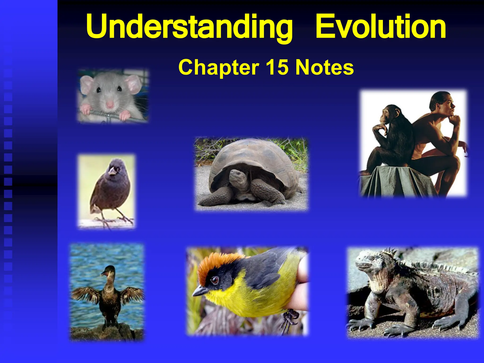 Understanding Evolution
Chapter 15 Notes
 