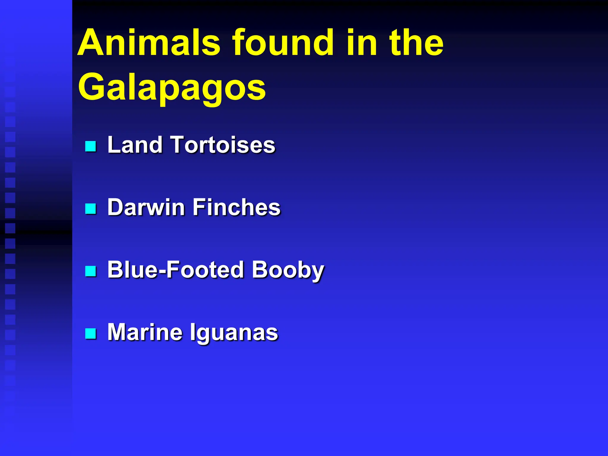 Animals found in the
Galapagos
 Land Tortoises
 Darwin Finches
 Blue-Footed Booby
 Marine Iguanas
 