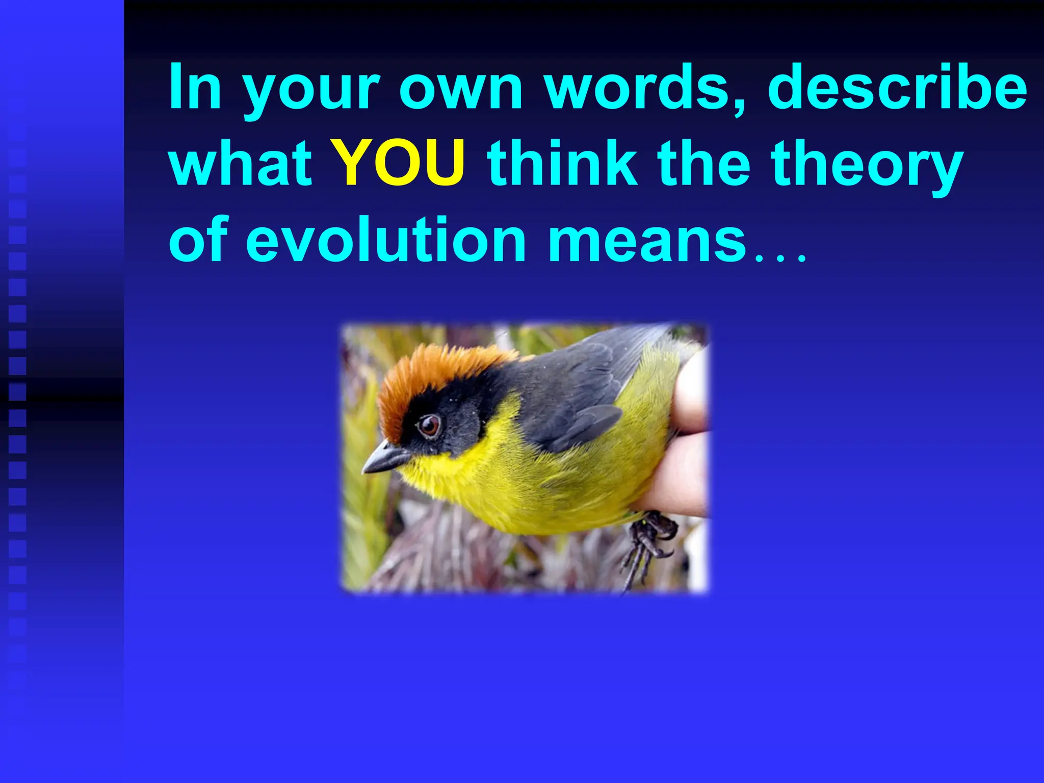 In your own words, describe
what YOU think the theory
of evolution means…
 