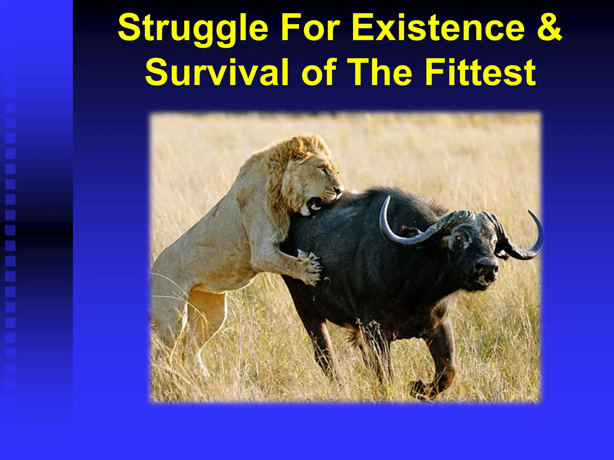 Struggle For Existence &
Survival of The Fittest
 