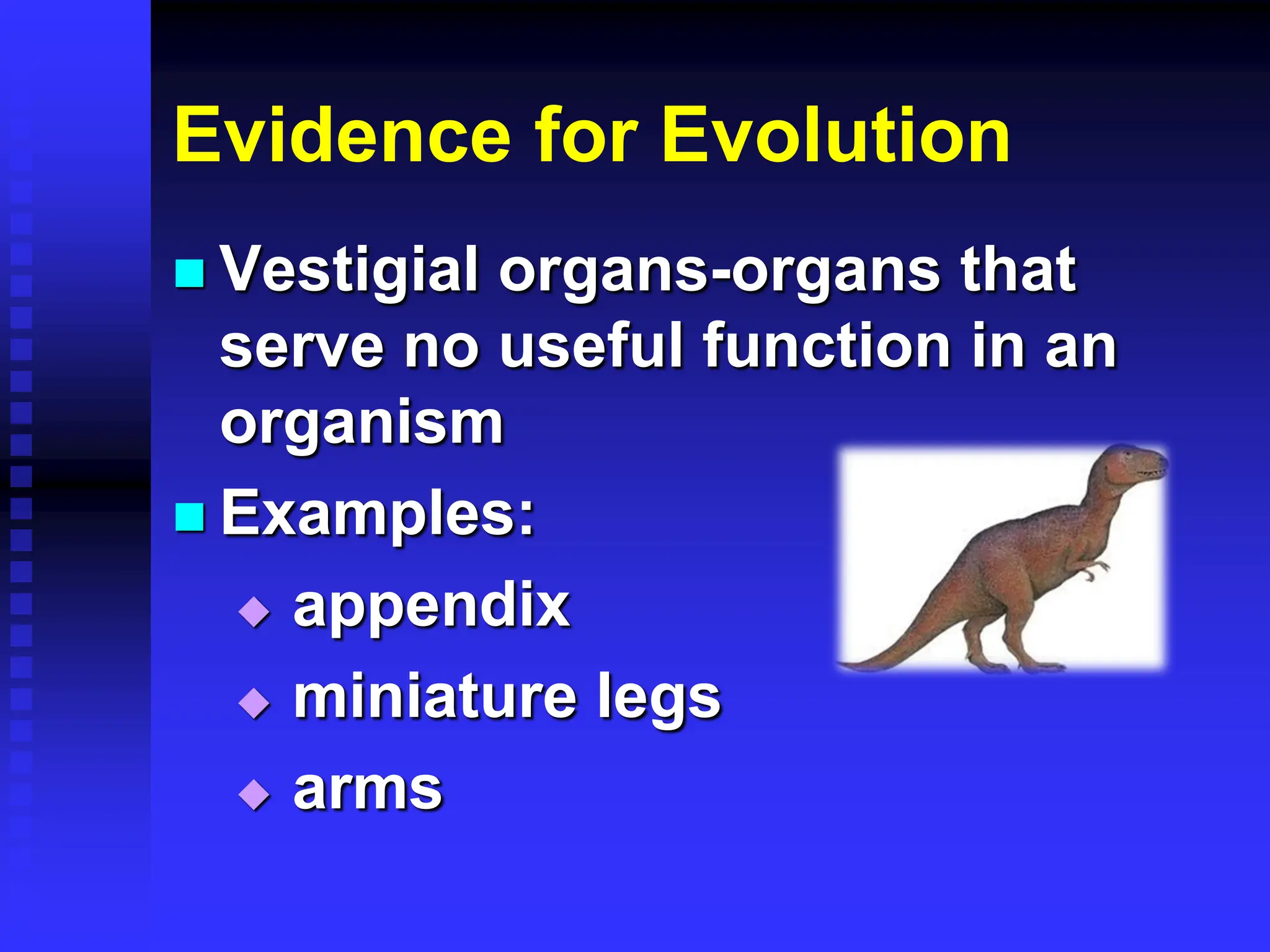Evidence for Evolution
 Vestigial organs-organs that
serve no useful function in an
organism
 Examples:
 appendix
 miniature legs
 arms
 
