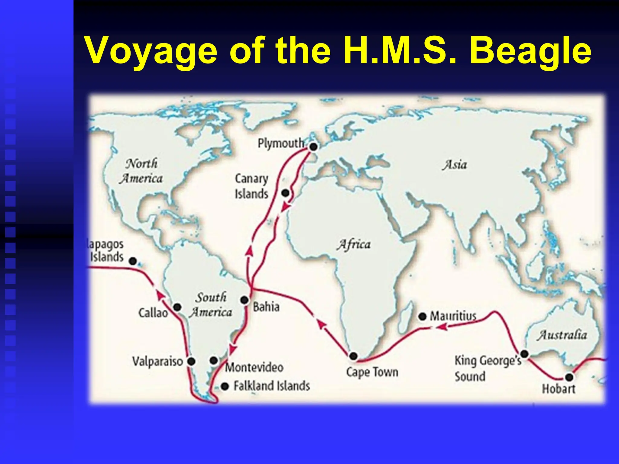 Voyage of the H.M.S. Beagle
 