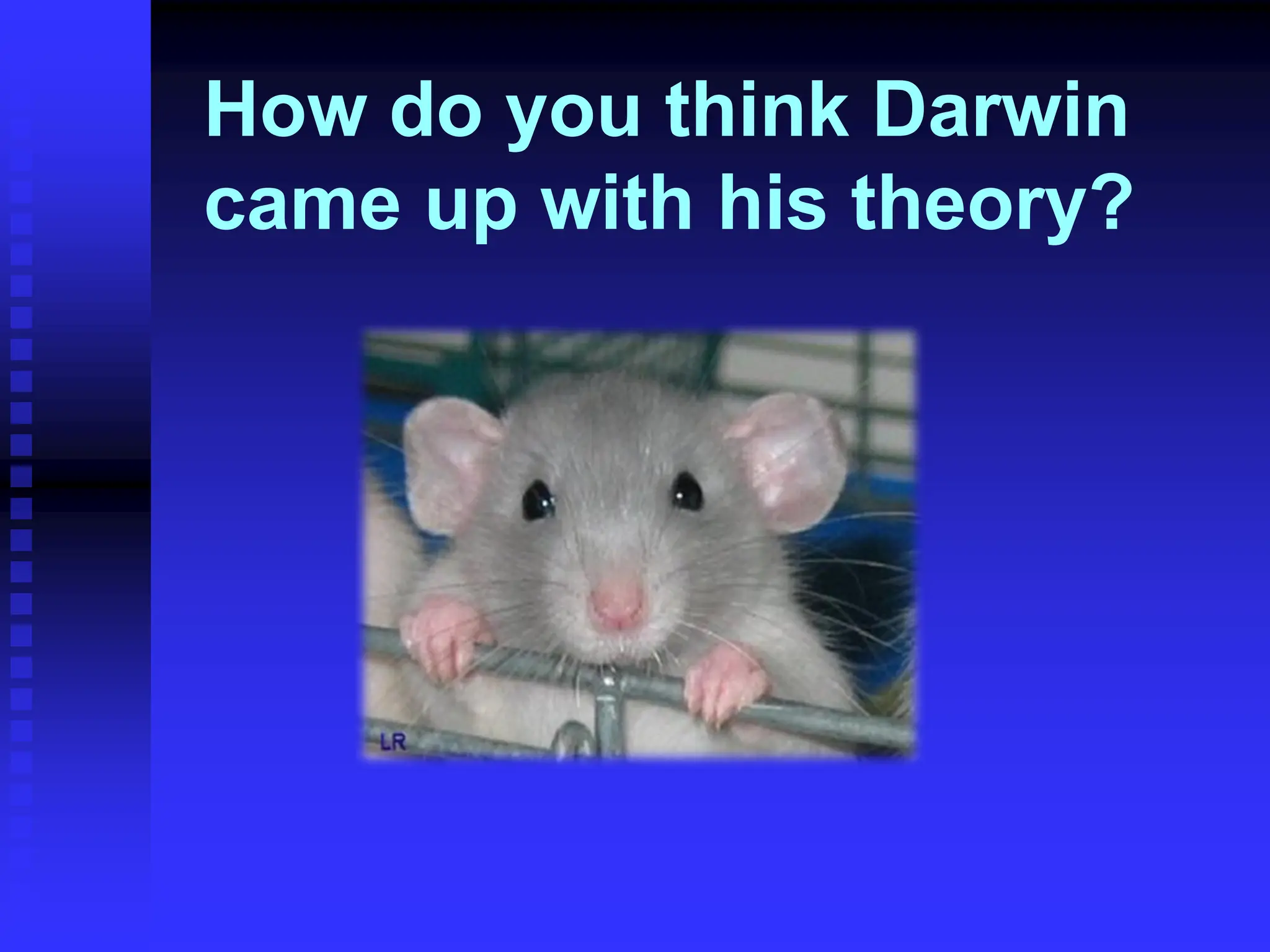 How do you think Darwin
came up with his theory?
 