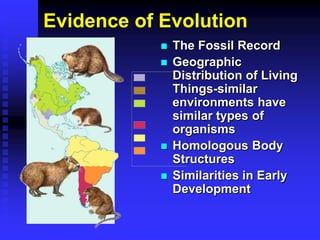 Chapter 15-Notes evolution of organisms ppt | PDF