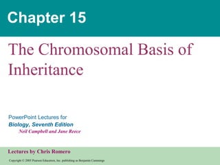 Copyright © 2005 Pearson Education, Inc. publishing as Benjamin Cummings
PowerPoint Lectures for
Biology, Seventh Edition
Neil Campbell and Jane Reece
Lectures by Chris Romero
Chapter 15
The Chromosomal Basis of
Inheritance
 