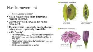 Thermonasty Example 独中高中生物 Chapter 15 Part 2 Movement of Plants | PPTX