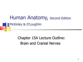 Human Anatomy,  Second Edition McKinley & O'Loughlin   Chapter 15A Lecture Outline: Brain and Cranial Nerves  