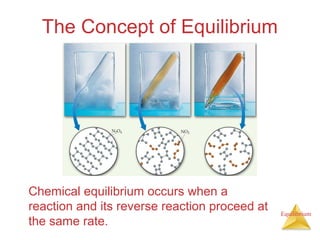 Equilibrium
The Concept of Equilibrium
Chemical equilibrium occurs when a
reaction and its reverse reaction proceed at
the same rate.
 