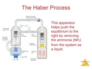 Equilibrium
The Haber Process
This apparatus
helps push the
equilibrium to the
right by removing
the ammonia (NH3)
from the system as
a liquid.
 