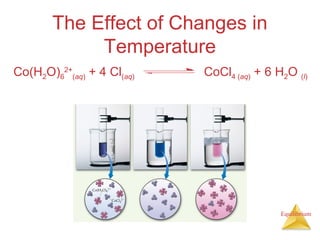 Equilibrium
The Effect of Changes in
Temperature
Co(H2O)6
2+
(aq) + 4 Cl(aq) CoCl4 (aq) + 6 H2O (l)
 