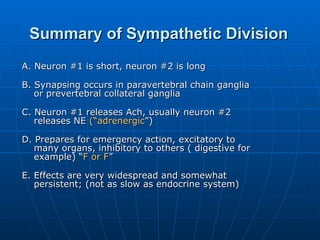 Summary of Sympathetic Division A. Neuron #1 is short, neuron #2 is long B. Synapsing occurs in paravertebral chain ganglia or prevertebral collateral ganglia C. Neuron #1 releases Ach, usually neuron #2 releases NE  (“adrenergic ”) D. Prepares for emergency action, excitatory to many organs, inhibitory to others ( digestive for example) “ F or F ” E. Effects are very widespread and somewhat persistent; (not as slow as endocrine system) 
