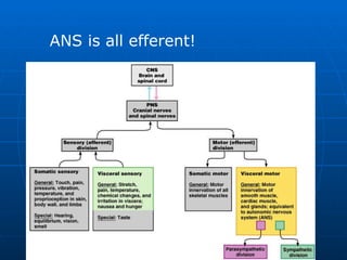 ANS is all efferent! 