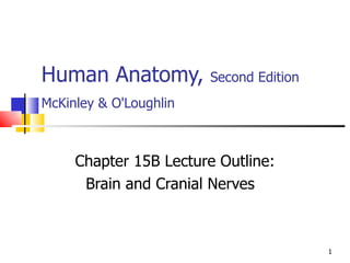 Human Anatomy,  Second Edition McKinley & O'Loughlin   Chapter 15B Lecture Outline: Brain and Cranial Nerves  