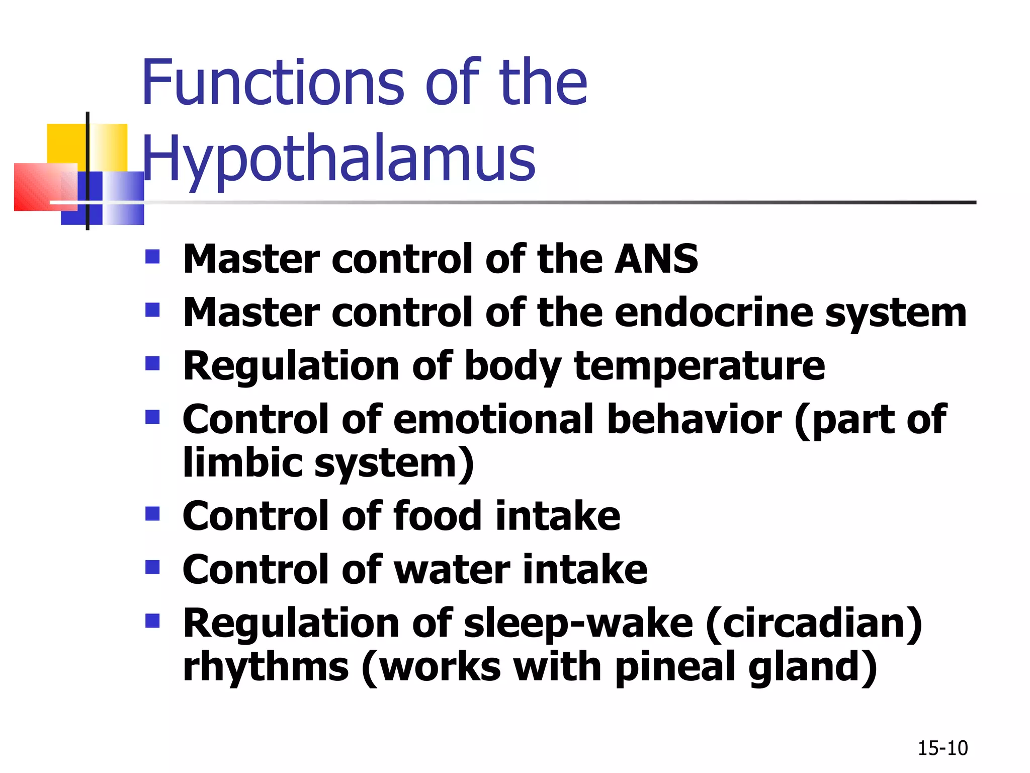 Master control of the ANS Master control of the endocrine system Regulation of body temperature Control of emotional behavior (part of limbic system) Control of food intake Control of water intake Regulation of sleep-wake (circadian) rhythms (works with pineal gland) Functions of the Hypothalamus 15- 