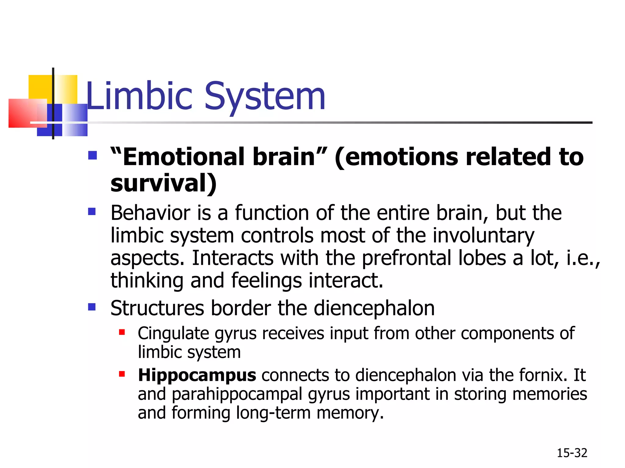 Limbic System “ Emotional brain” (emotions related to survival) Behavior is a function of the entire brain, but the limbic system controls most of the involuntary aspects. Interacts with the prefrontal lobes a lot, i.e., thinking and feelings interact. Structures border the diencephalon Cingulate gyrus receives input from other components of limbic system Hippocampus  connects to diencephalon via the fornix. It and parahippocampal gyrus important in storing memories and forming long-term memory. 15- 