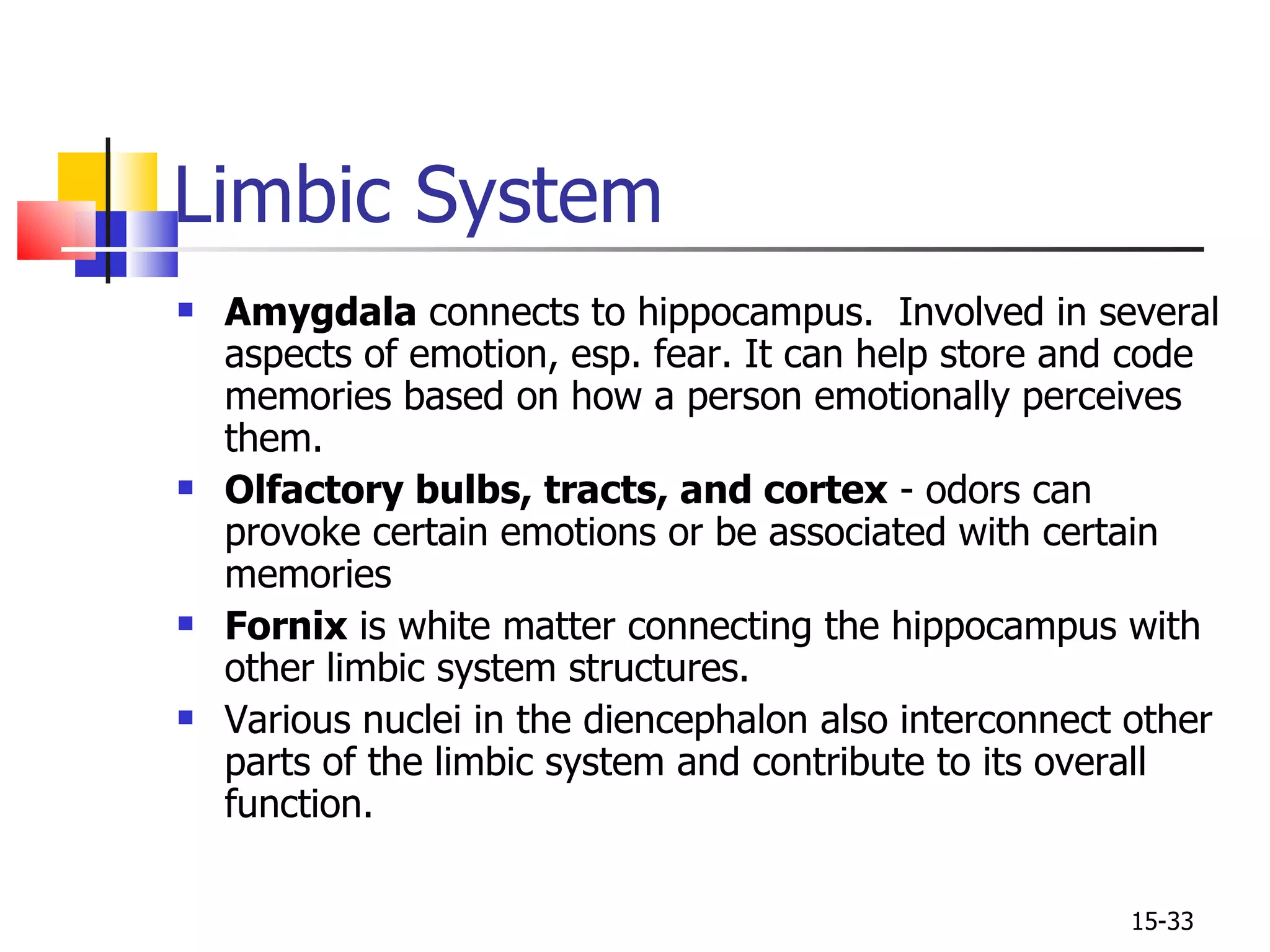 Limbic System Amygdala  connects to hippocampus.  Involved in several aspects of emotion, esp. fear. It can help store and code memories based on how a person emotionally perceives them. Olfactory bulbs, tracts, and cortex  - odors can provoke certain emotions or be associated with certain memories Fornix  is white matter connecting the hippocampus with other limbic system structures. Various nuclei in the diencephalon also interconnect other parts of the limbic system and contribute to its overall function. 15- 
