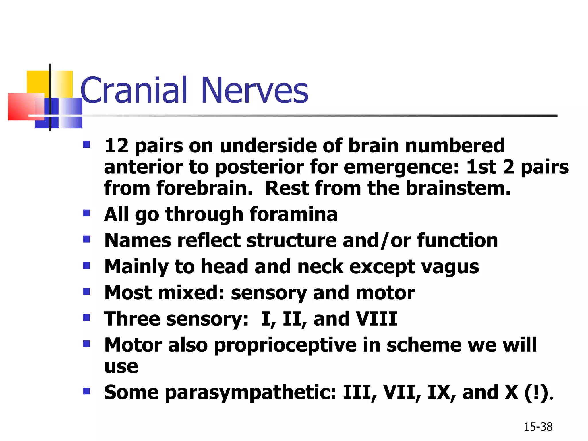 12 pairs on underside of brain numbered anterior to posterior for emergence: 1st 2 pairs from forebrain.  Rest from the brainstem. All go through foramina Names reflect structure and/or function Mainly to head and neck except vagus Most mixed: sensory and motor Three sensory:  I, II, and VIII Motor also proprioceptive in scheme we will use Some parasympathetic: III, VII, IX, and X (!) . Cranial Nerves 15- 