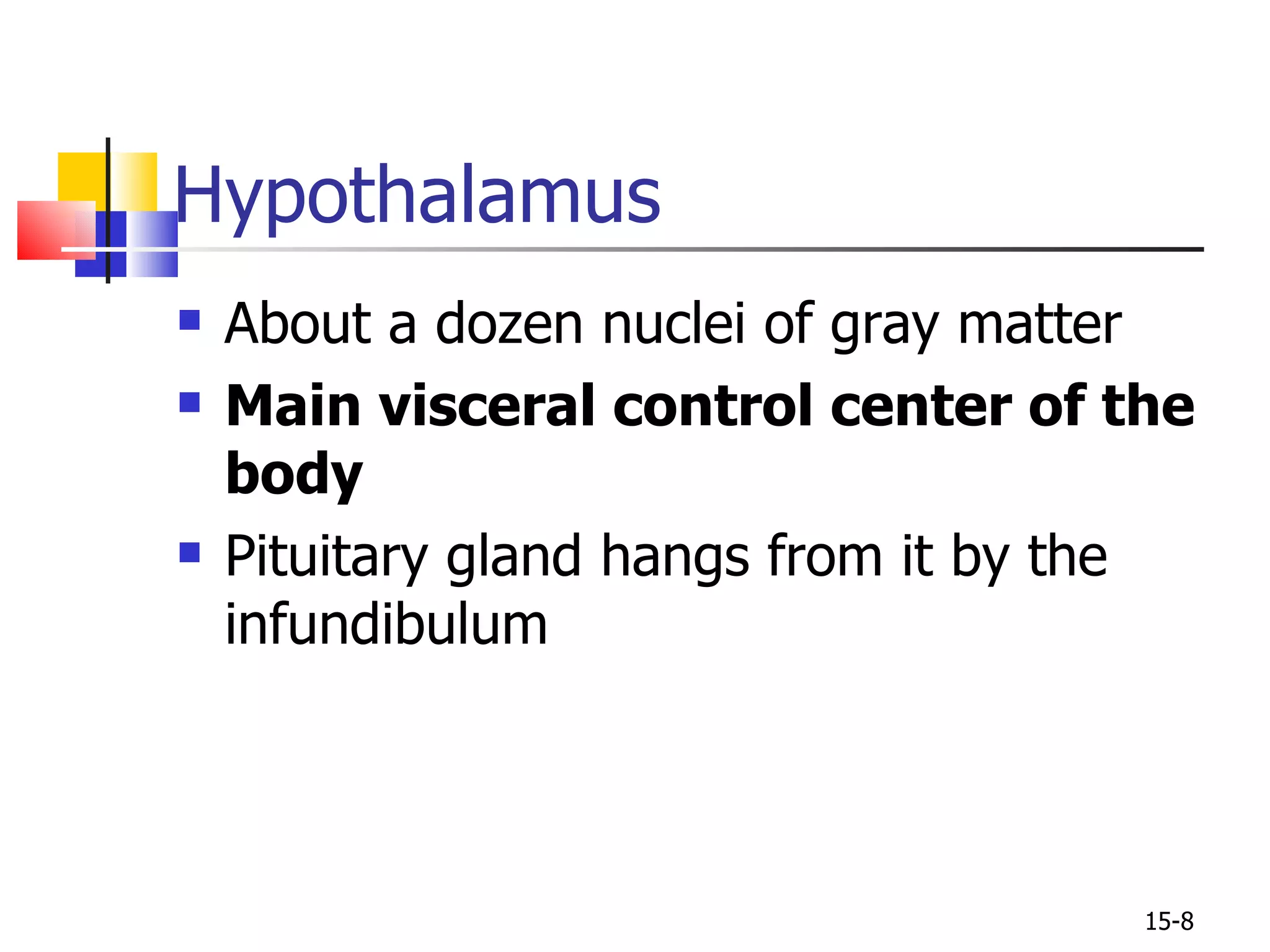 About a dozen nuclei of gray matter Main visceral control center of the body Pituitary gland hangs from it by the infundibulum Hypothalamus 15- 