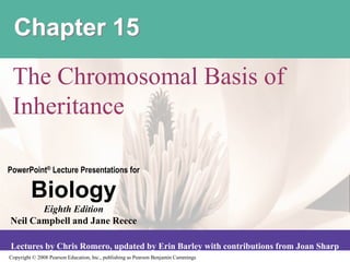 Copyright © 2008 Pearson Education, Inc., publishing as Pearson Benjamin Cummings
PowerPoint® Lecture Presentations for
Biology
Eighth Edition
Neil Campbell and Jane Reece
Lectures by Chris Romero, updated by Erin Barley with contributions from Joan Sharp
Chapter 15
The Chromosomal Basis of
Inheritance
 