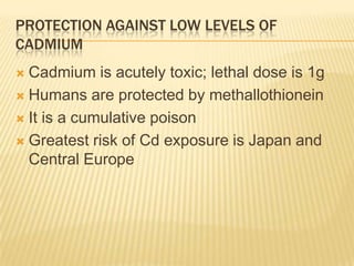 PROTECTION AGAINST LOW LEVELS OF
CADMIUM
Cadmium is acutely toxic; lethal dose is 1g
 Humans are protected by methallothionein
 It is a cumulative poison
 Greatest risk of Cd exposure is Japan and
Central Europe


 