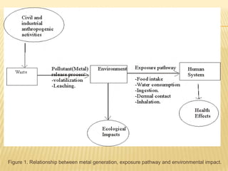 Figure 1. Relationship between metal generation, exposure pathway and environmental impact.

 