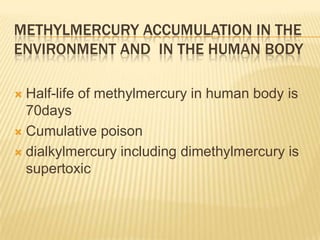 METHYLMERCURY ACCUMULATION IN THE
ENVIRONMENT AND IN THE HUMAN BODY
Half-life of methylmercury in human body is
70days
 Cumulative poison
 dialkylmercury including dimethylmercury is
supertoxic


 