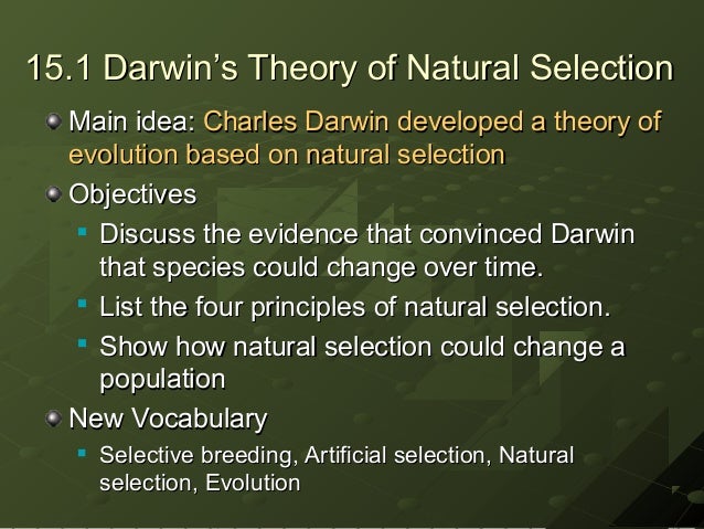 What Are The Main Principles Of Natural Selection What Are The Main Principles Of Natural Selection