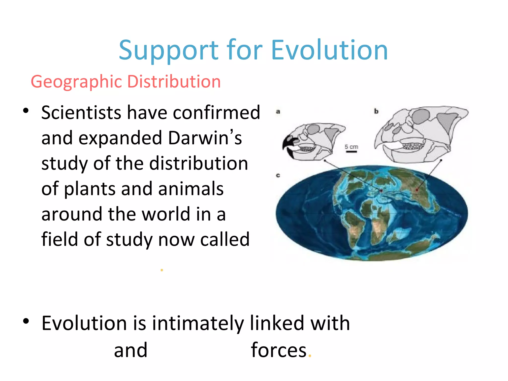 • Scientists have confirmed
and expanded Darwin’s
study of the distribution
of plants and animals
around the world in a
field of study now called
biogeography.
• Evolution is intimately linked with
climate and geological forces.
Geographic Distribution
Support for Evolution
 