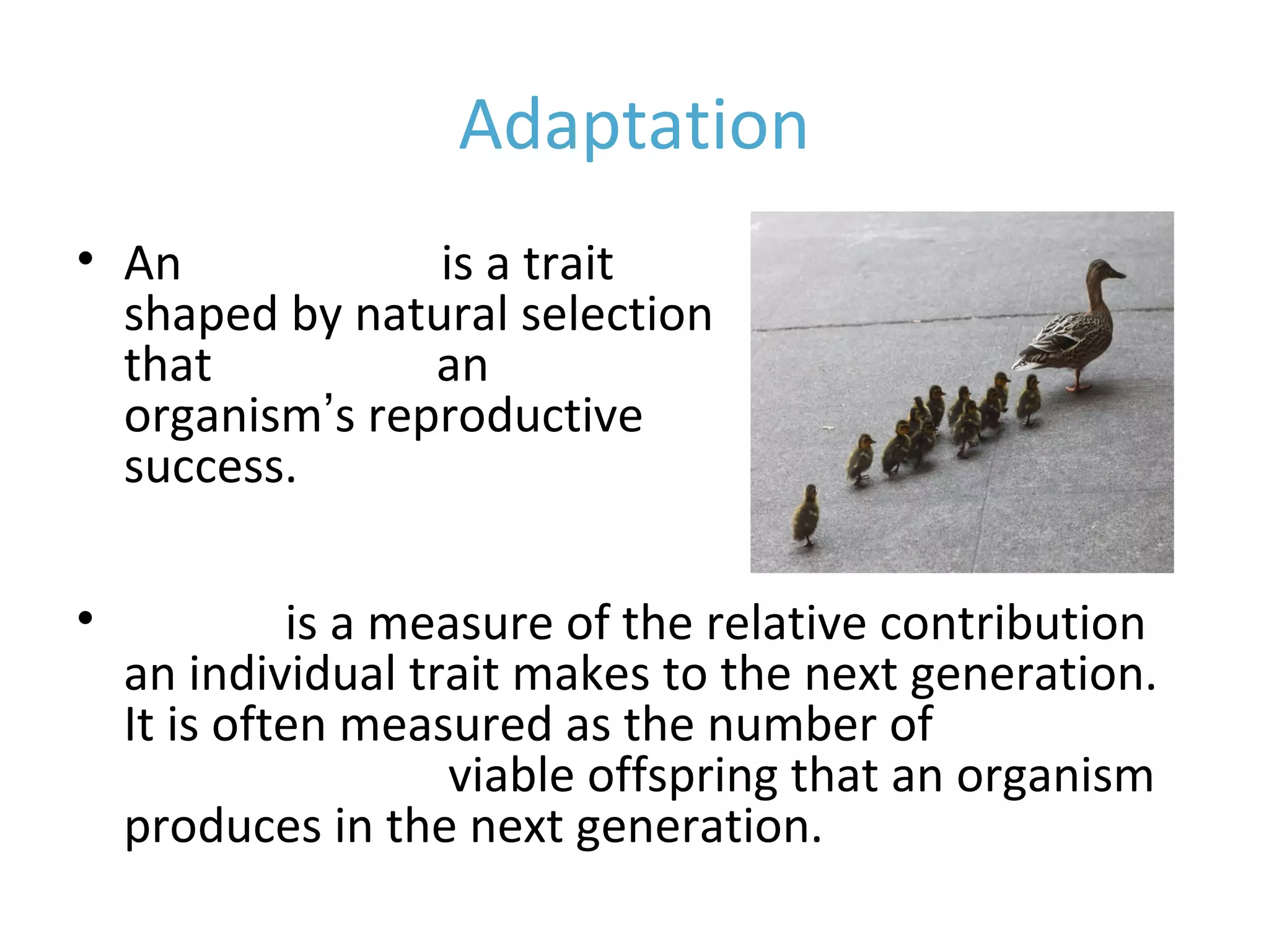 Adaptation
• An adaptation is a trait
shaped by natural selection
that increases an
organism’s reproductive
success.
• Fitness is a measure of the relative contribution
an individual trait makes to the next generation.
It is often measured as the number of
reproductively viable offspring that an organism
produces in the next generation.
 