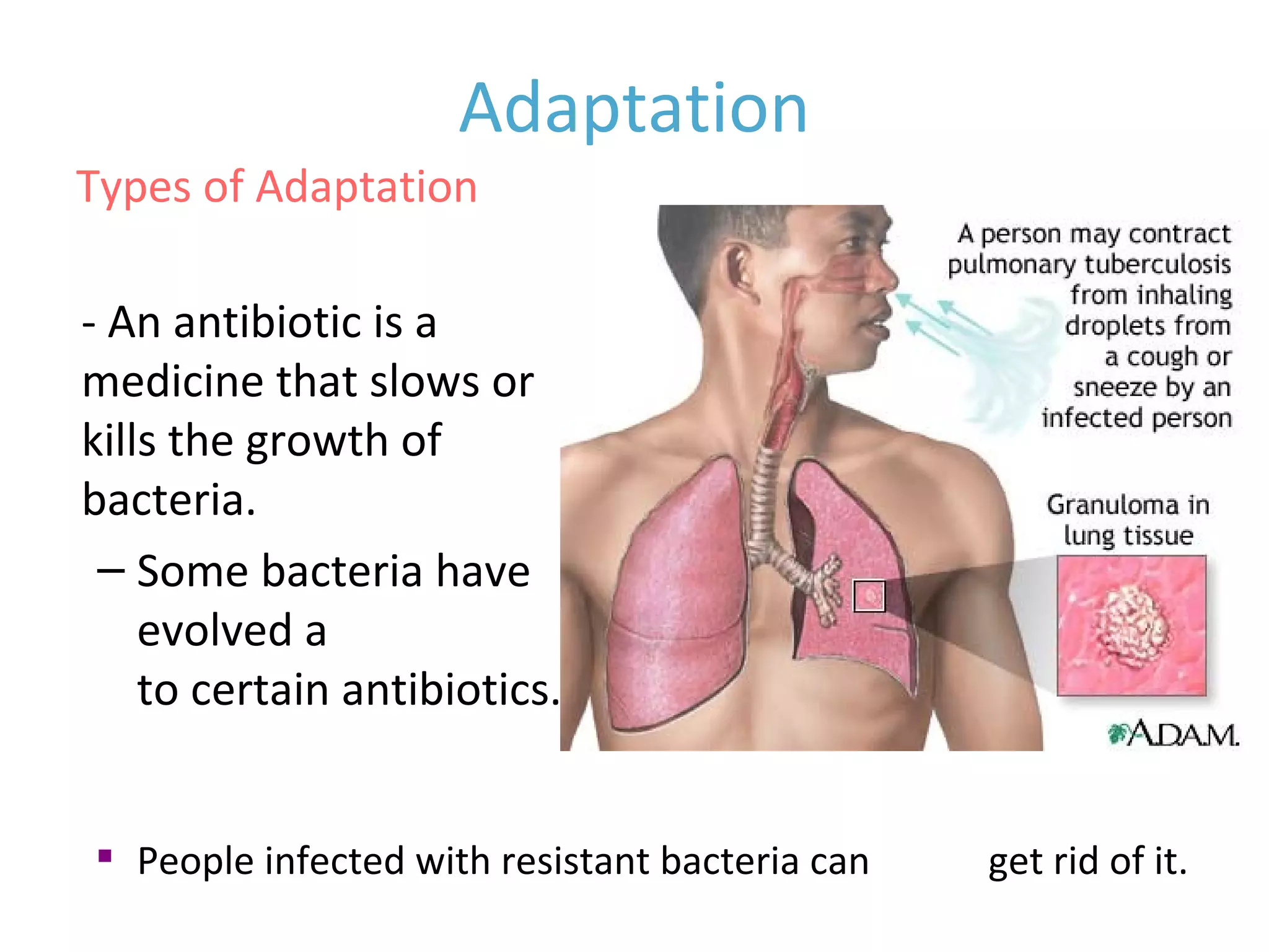 • Antimicrobial resistance
- An antibiotic is a
medicine that slows or
kills the growth of
bacteria.
– Some bacteria have
evolved a resistance
to certain antibiotics.

People infected with resistant bacteria can never get rid of it.
Adaptation
Types of Adaptation
 