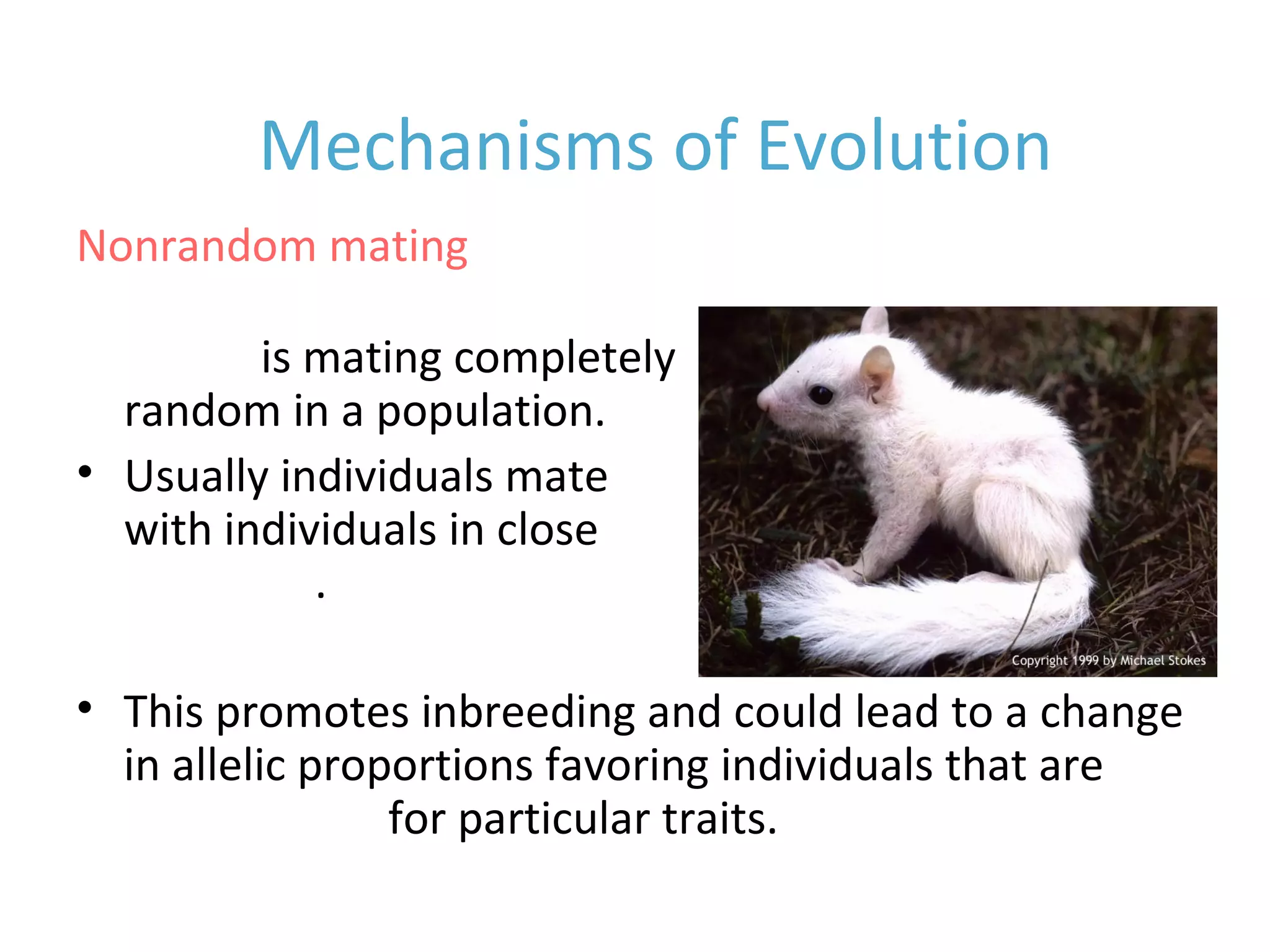 • Rarely is mating completely
random in a population.
• Usually individuals mate
with individuals in close
proximity.
Nonrandom mating
Mechanisms of Evolution
• This promotes inbreeding and could lead to a change
in allelic proportions favoring individuals that are
homozygous for particular traits.
 